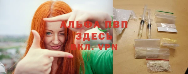 СК Алексин