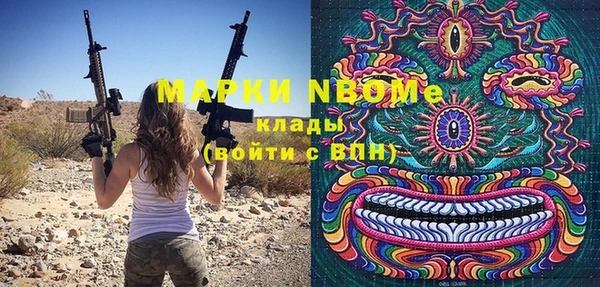 СК Алексин