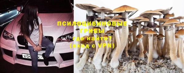 метамфетамин Алексеевка