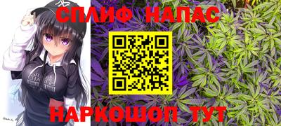 mdpv Малоярославец