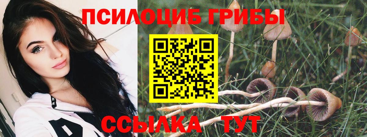 Псилоцибиновые грибы мицелий  Вход с VPN  Подольск 